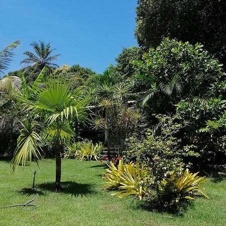 Privacidade, Sossego E Axe Em Taipu De Fora Barra Grande  Exterior foto