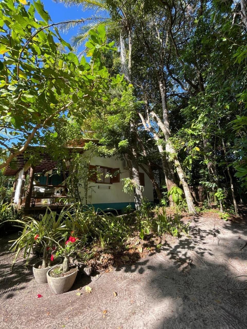 Privacidade, Sossego E Axe Em Taipu De Fora Barra Grande  Exterior foto