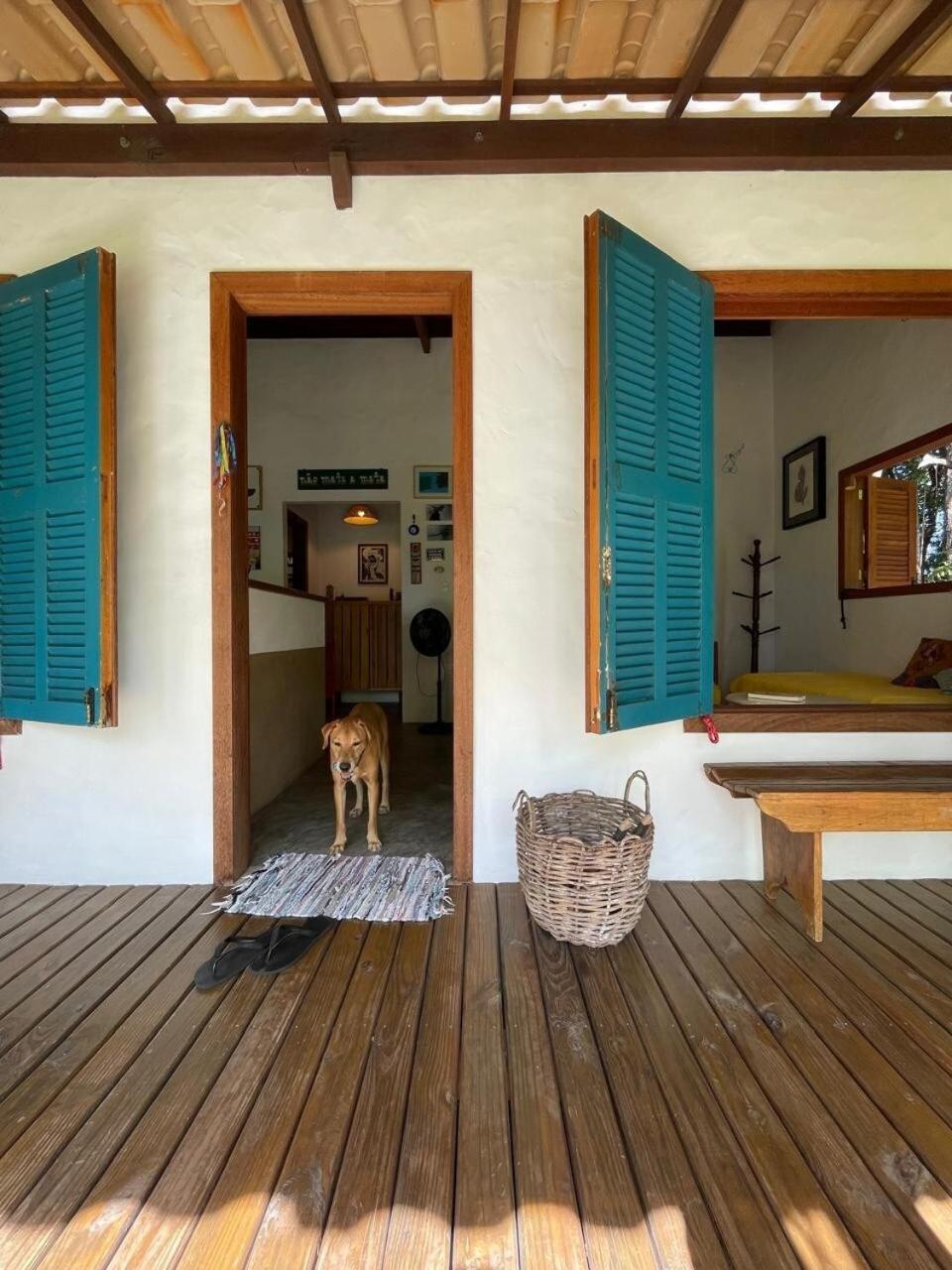 Privacidade, Sossego E Axe Em Taipu De Fora Barra Grande  Exterior foto